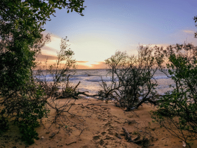 Baththalangunduwa Camping Tour with Dinuda Resort