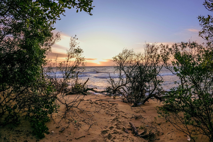 Baththalangunduwa Camping Tour with Dinuda Resort
