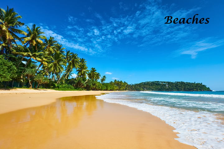 DelAir Travels - Sri Lanka