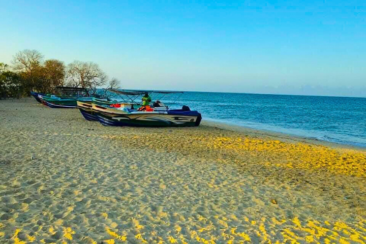 Baththalangunduwa Camping Tour with Dinuda Resort