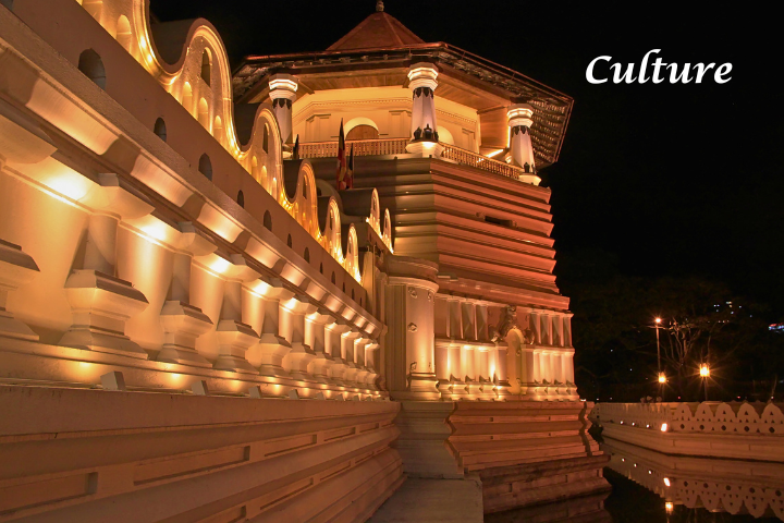 DelAir Travels - Sri Lanka