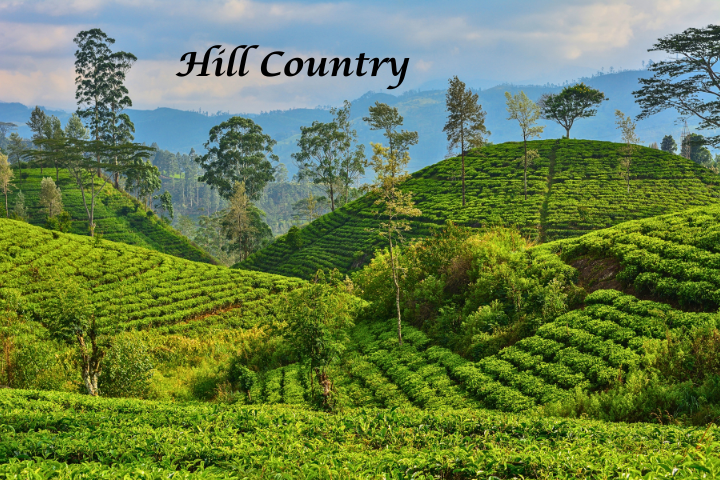 DelAir Travels - Sri Lanka