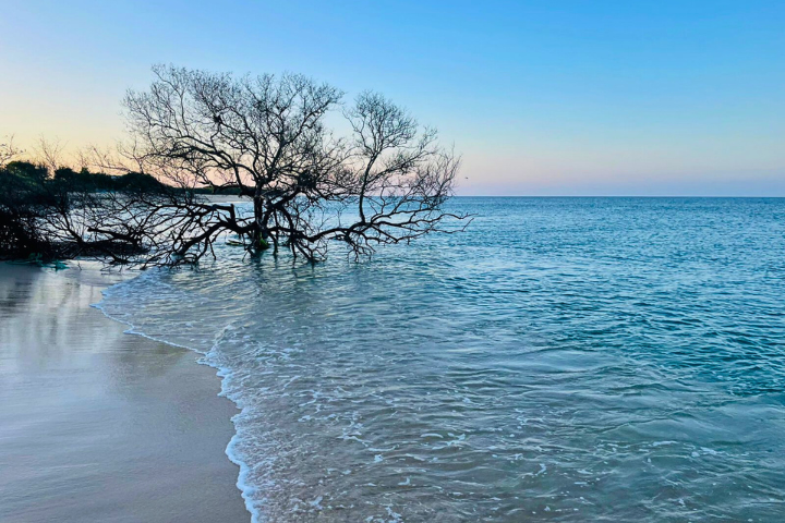 Baththalangunduwa Camping Tour with Dinuda Resort