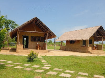 Leaf Ali Malli – Thanamalwila