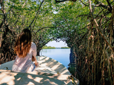 Madu River Boat Safari Sri Lanka