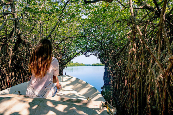 Madu River Boat Safari Sri Lanka