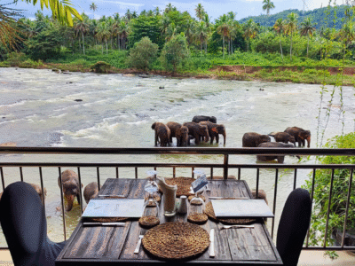 Hotel Elephant Park Pinnawala