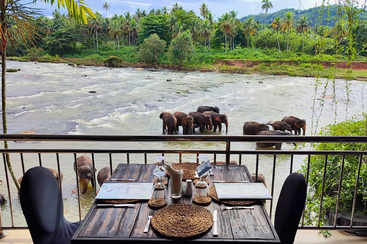 Hotel Elephant Park Pinnawala