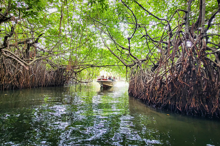Madu River Boat Safari Sri Lanka