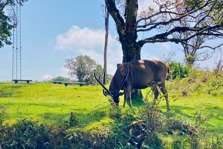 Ahasata Gauwai Adventure Safari - Sri Lanka