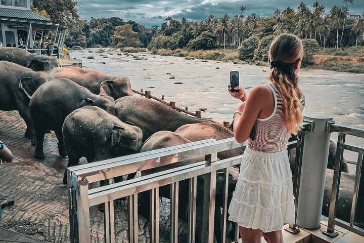Hotel Elephant Park Pinnawala