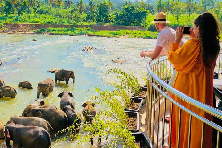 Hotel Elephant Park Pinnawala
