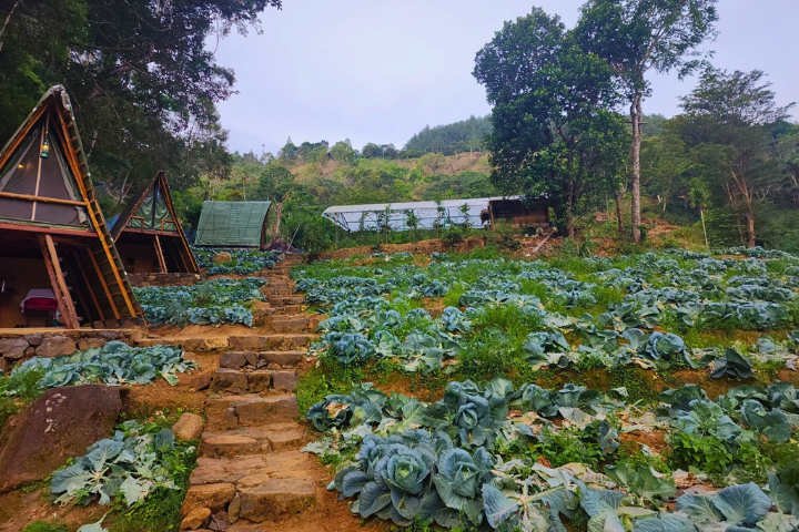 Bambara Ella Agro Resort & Camping Haputale Sri Lanka