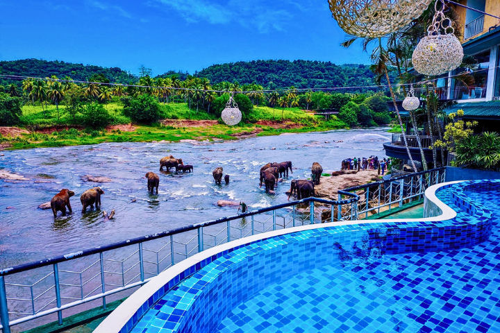 Hotel Elephant Park Pinnawala