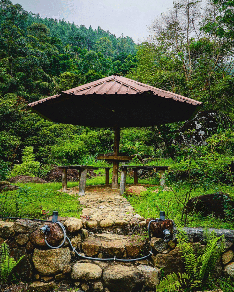 Forest Heaven Eco Resort - Belihul Oya