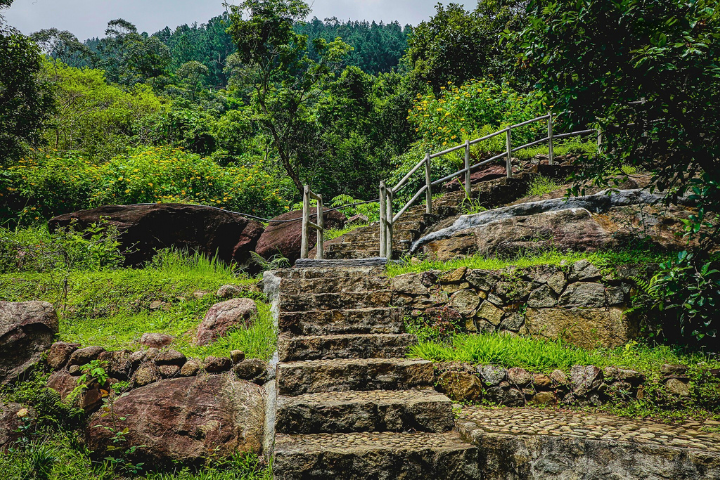 Forest Heaven Eco Resort - Belihul Oya