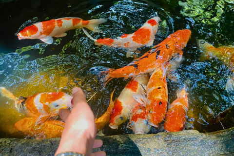 Water World Kelaniya – Underwater Tunnel & Bird Park