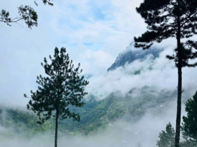 Belmount Ella Hotel | Mountain View Hotel in Ella, Sri Lanka