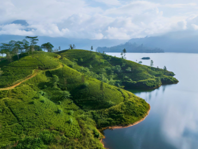 Enchanting Nature Retreat Sri Lanka | 7-Day Nature & Wildlife Tour