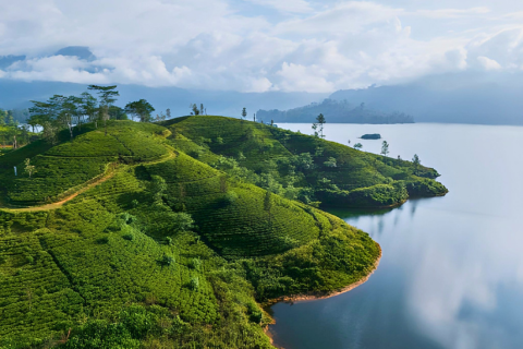 Enchanting Nature Retreat Sri Lanka | 7-Day Nature & Wildlife Tour